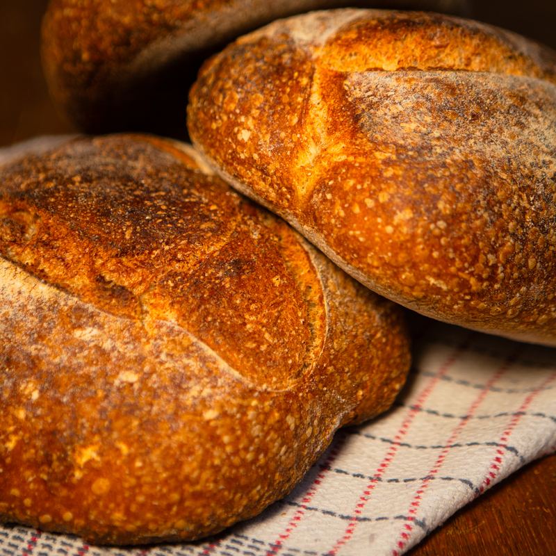 Freshly baked sourdough loaves on a checked cloth